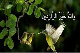 چگونه رزق و روزی با برکت و زیاد داشته باشیم؟