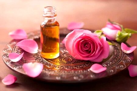 حدیث روز| حد توکل تا کجاست؟